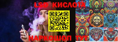 ECSTASY Владимир
