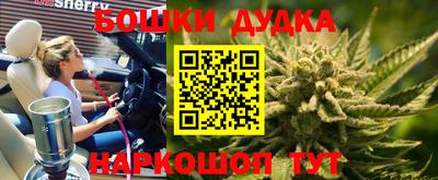 ECSTASY Владимир