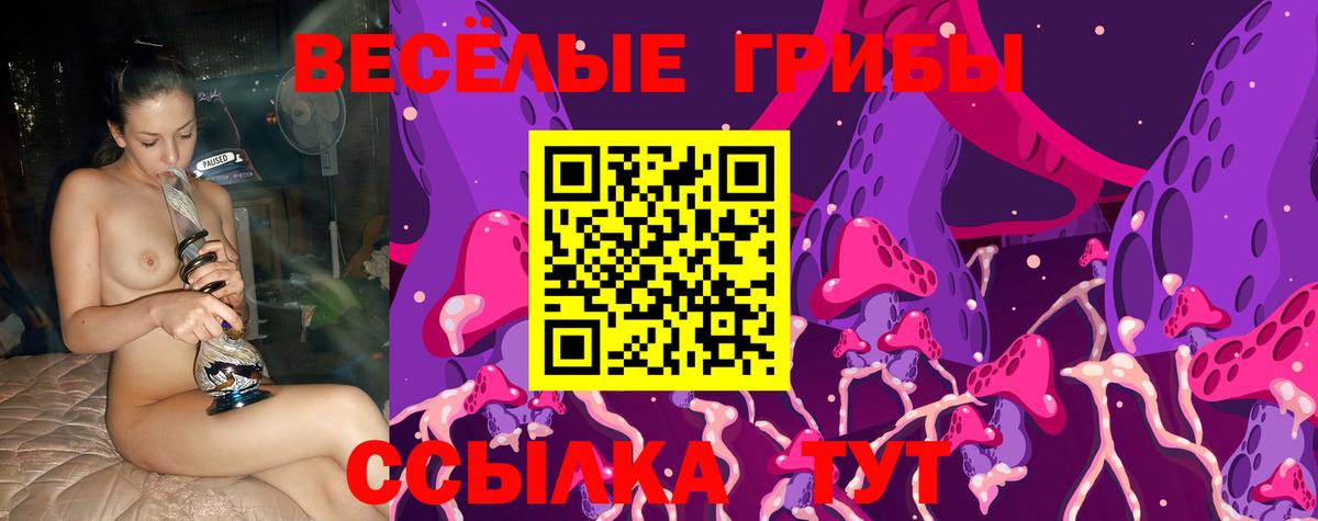 Кашира  Галлюциногенные грибы Psilocybe  Вход с VPN  даркнет сайт  Галлюциногенные грибы Magic Shrooms 